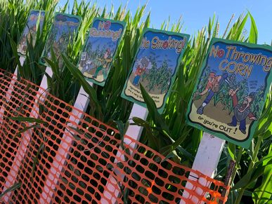Colorful signs in a cornfield warning against disruptive behaviors.