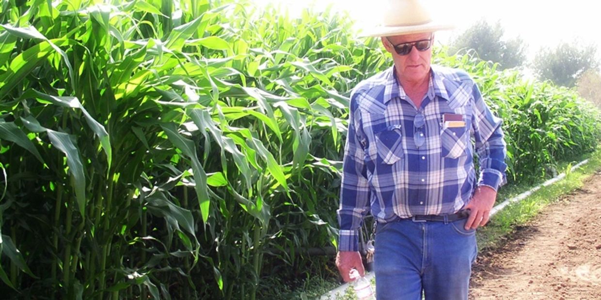 Farmer John Forneris, 3rd generation farmer in San Fernando Valley, CA