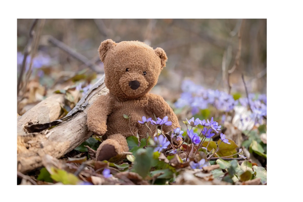 child counselling in Haywards Heath