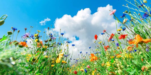 art therapy for children