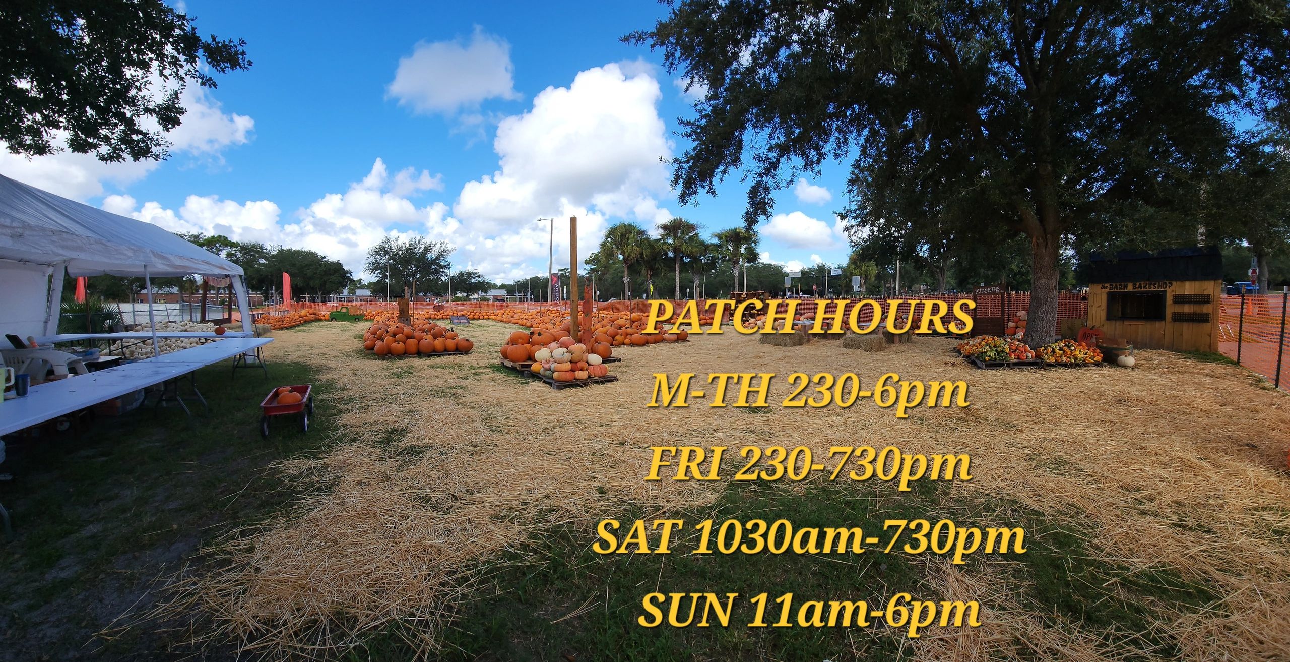 Hagerty Farms Pumpkin Patch 4