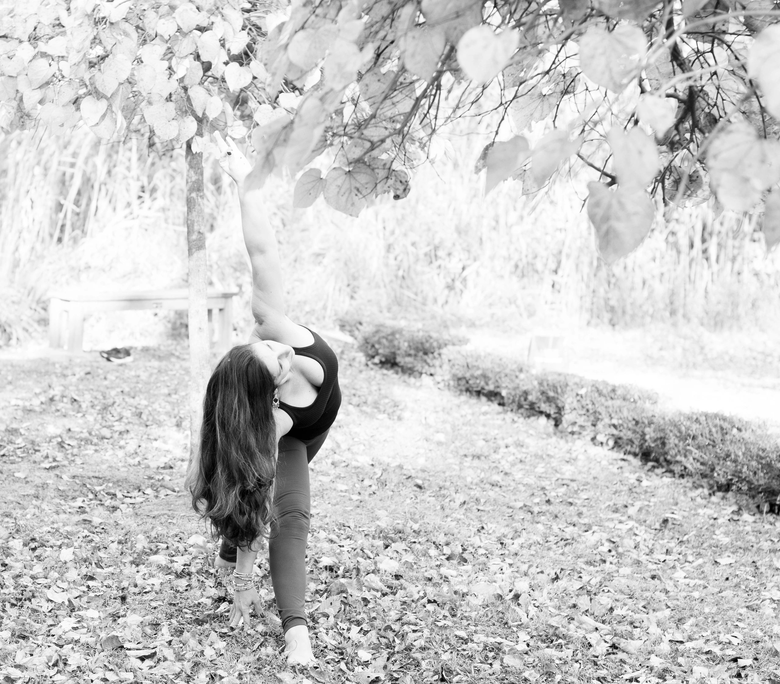 local-class-schedule