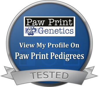
https://www.pawprintgenetics.com/pedigrees/dogs/details/16006/