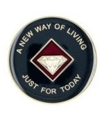 NA Anniversary Medallion - Image 5