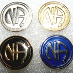 NA Logo Pin