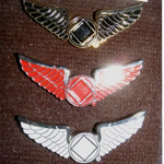 NA Wings Pin