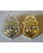 Trusted Servant Badge