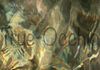Jersey Opal