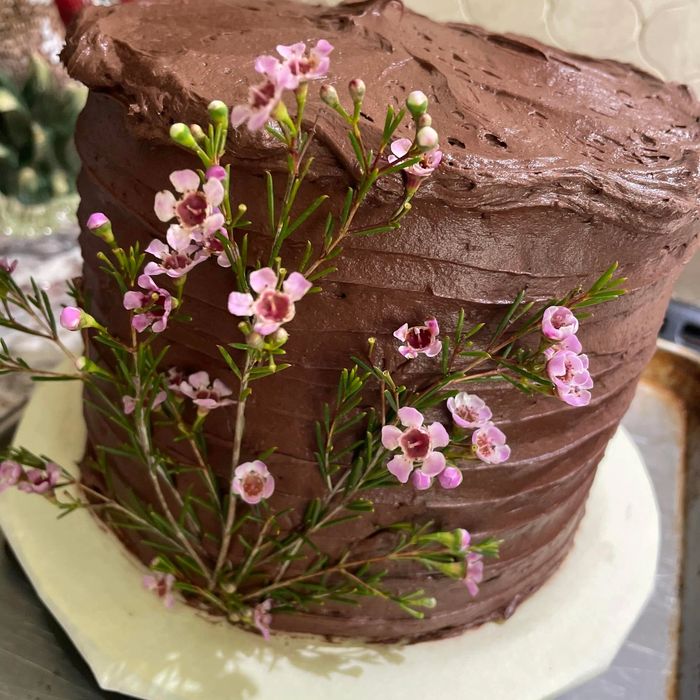 All Dark Chocolate Cake