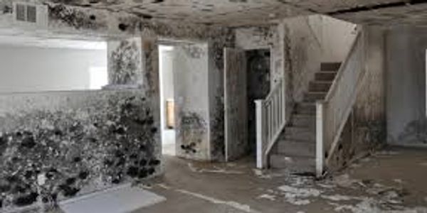 Mold Damage Restoration