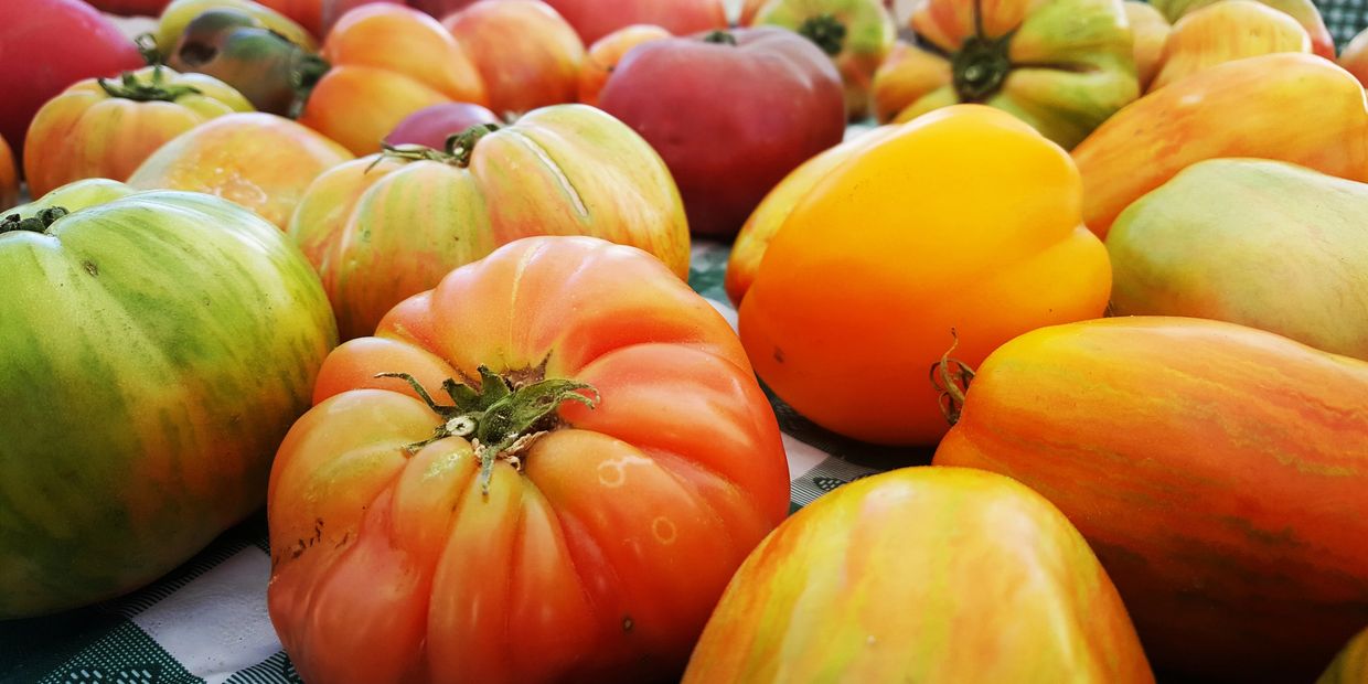 Colorful heirloom tomatoes and peppers on display at a market.
