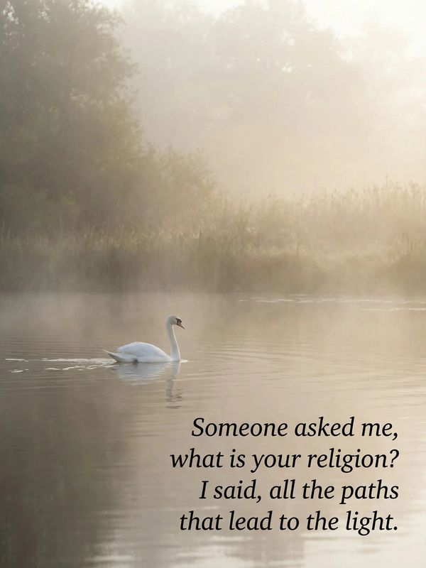 A white swan glides on misty water with an inspiring quote about finding light.