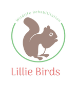 Lillie Birds Wildlife Rehabilitation