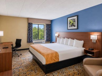Modern hotel room with king-size bed and blue accent wall.