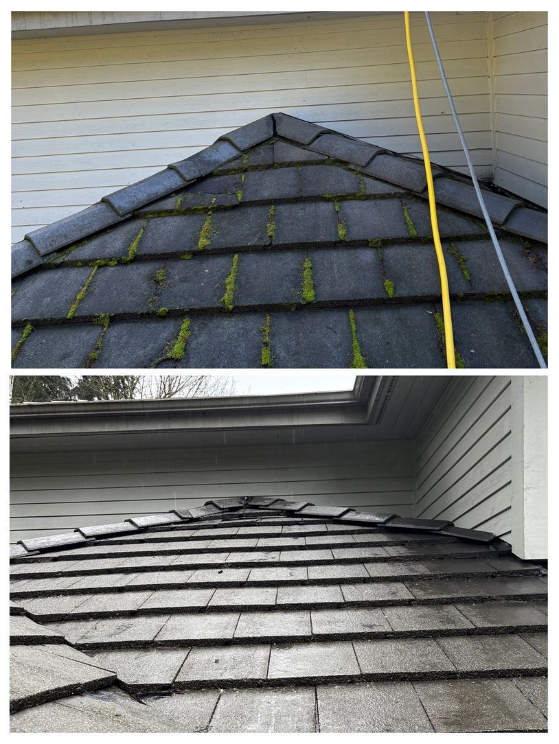 Two images showing a roof section before and after cleaning moss and dirt on a tile roof.