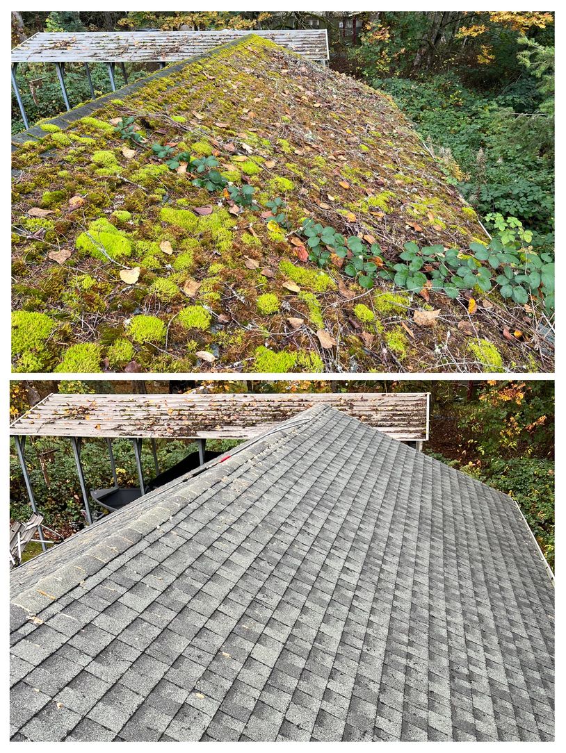 Comparison of a moss-covered roof and a clean, shingled roof.