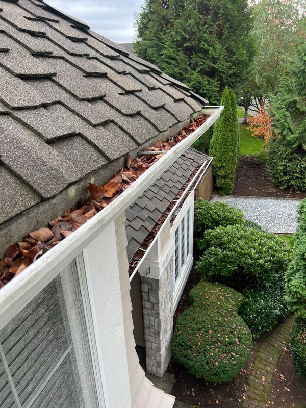 Gutter filled with dry leaves along a roofline on a cloudy day.