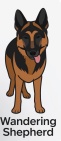 Wandering Shepherd
