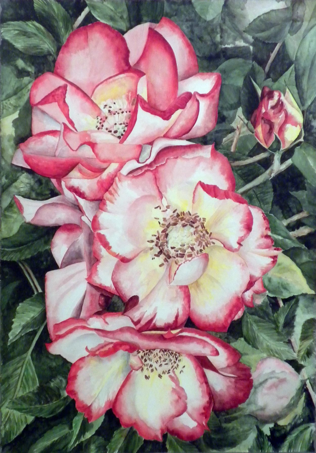 Portland Roses
Watercolor
22 x 28" Arches 300 lb cold pressed paper
2005