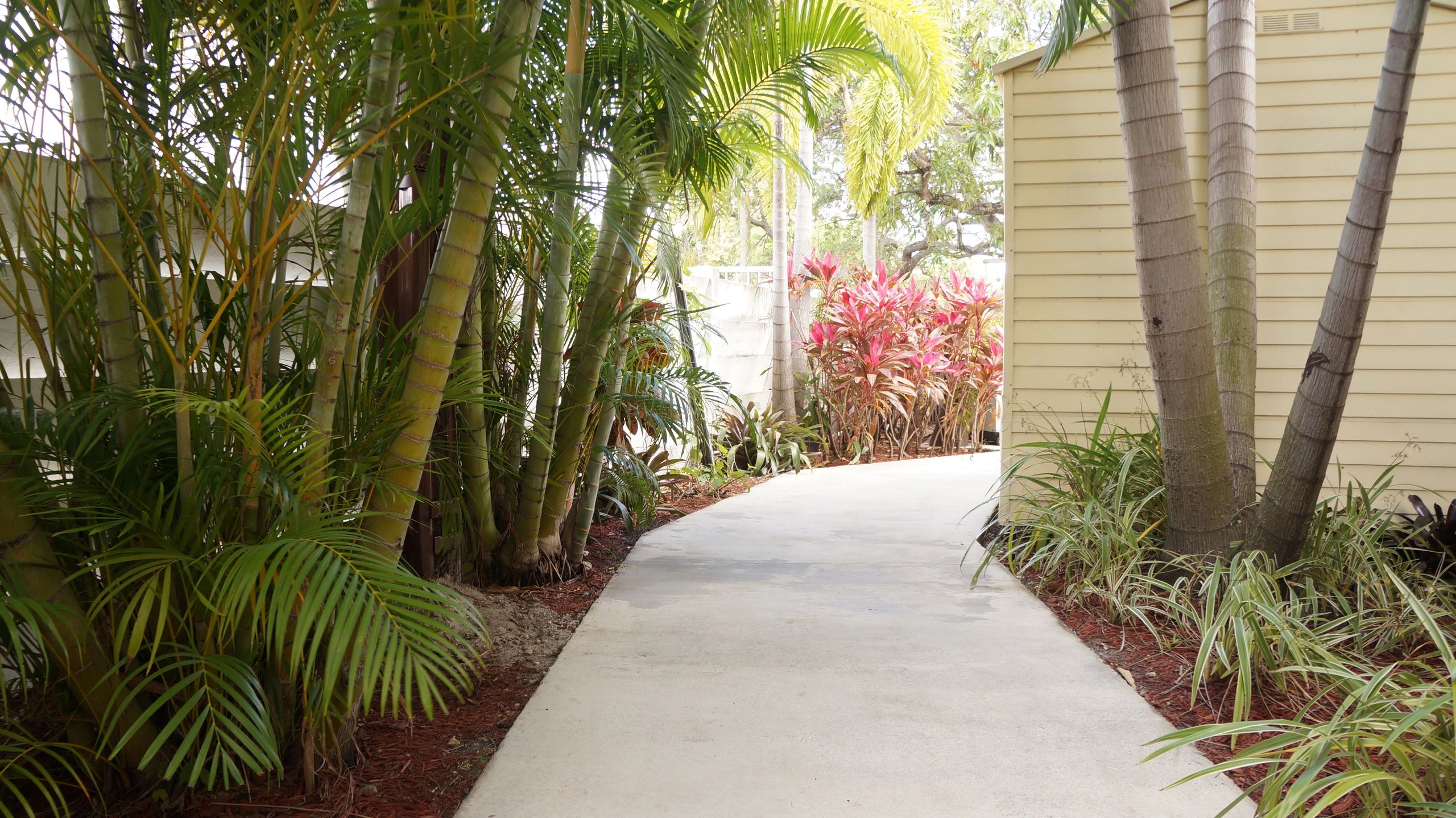 Beautiful Landscaping
