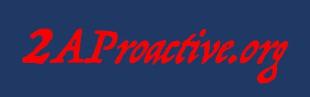 2A Proactive