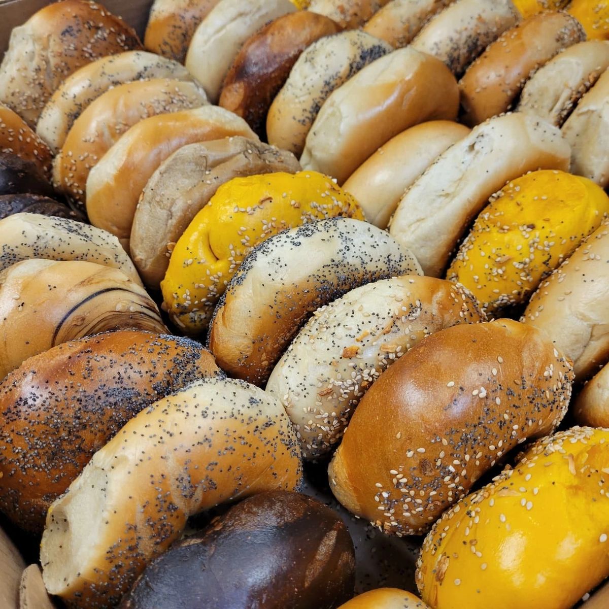 Heartland Bagels Fresh Kettle Boiled Bagels