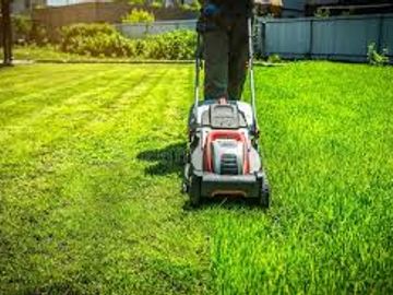 Person mowing a lush green lawn with an electric lawn mower.
