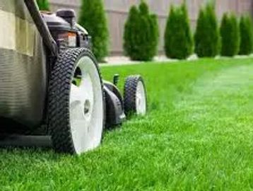 Close-up of a lawn mower cutting green grass.