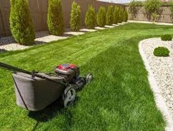 A lawn mower cutting fresh green grass in a backyard.