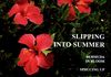 Cover Image - Bermuda Shopping Guide/Spring Issue - Honored by the House of Assembly in Bermuda. designed and created by Sonia Dorrough for the Local Market.