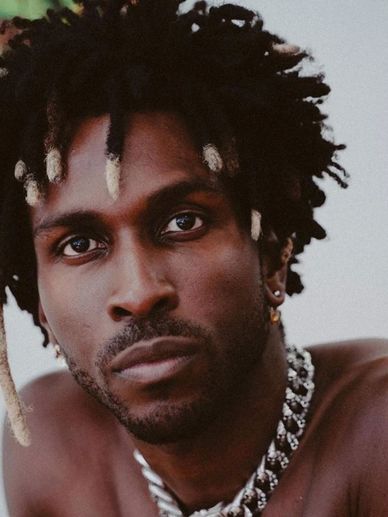 Saint Jhn's rise to fame with the remix of "Roses" was indeed meteoric, catapulting him into . . .