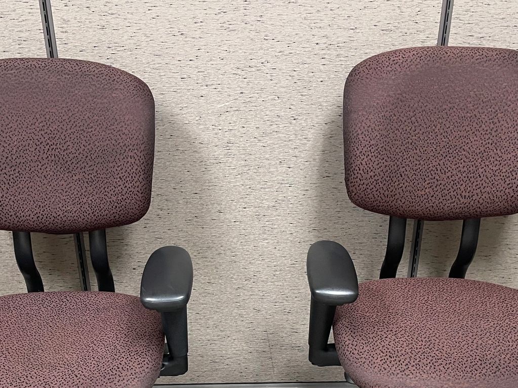 Task Chairs $65.00 each