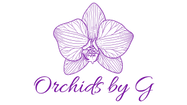 Orchids by G