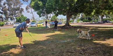 A man playing fetch with a dog in a sunny park.