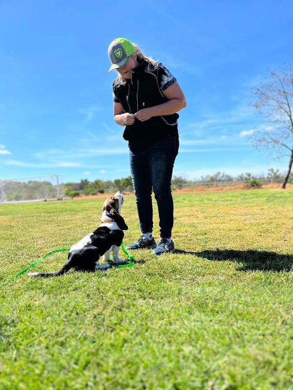 Person training a dog on a green lawn under a clear blue sky.