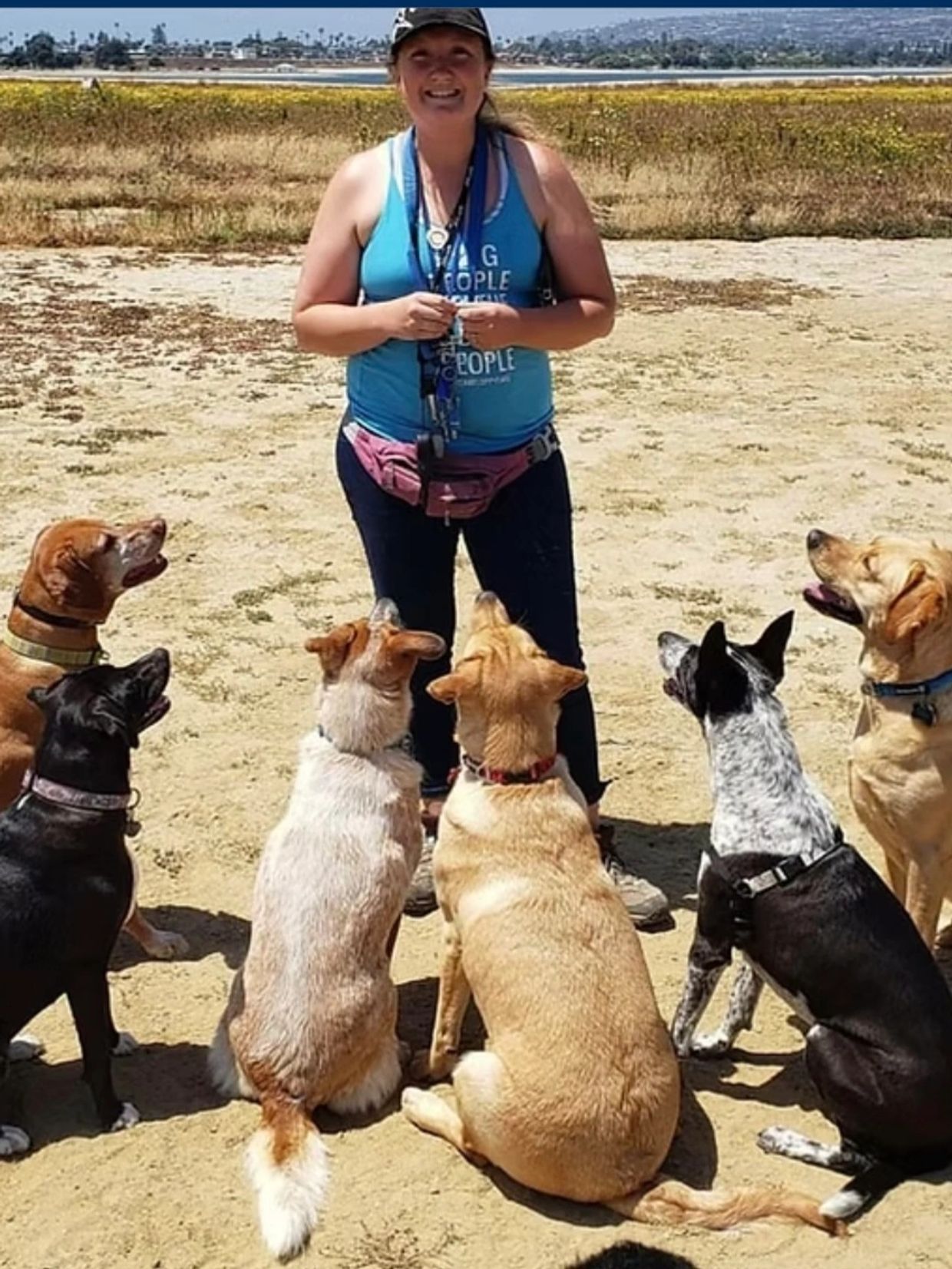 Woman training six attentive dogs outdoors on a sunny day.