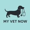 My Vet Now