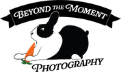Beyond 
The Moment  Photography