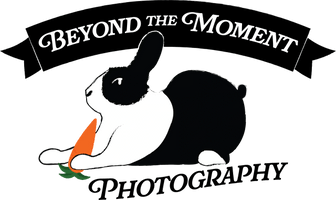 Beyond 
The Moment  Photography