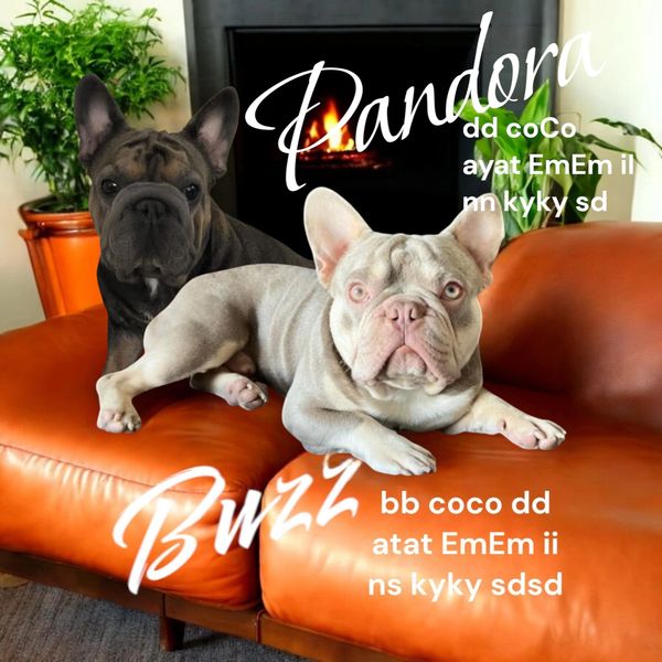 Two French Bulldogs, one light and one dark, lounging on an orange leather couch by a fireplace.