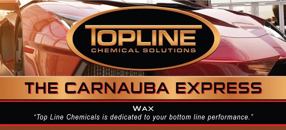 The Carnauba Wax