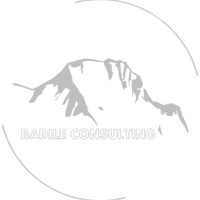 Badile Consulting