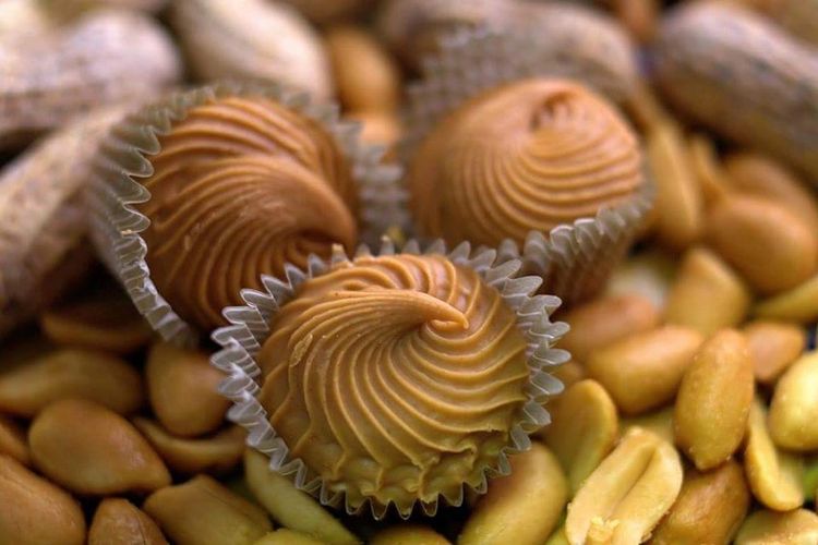 Chocolates By Tina Marie Artisan Chocolates, Chocolate