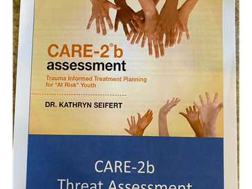 The CARe-2b Toolbox is an assesssme
