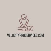 Velocityproservices.com