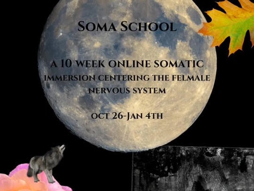 A moonlit flyer for a 10-week online somatic course focused on the female nervous system.