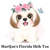 MarQue’s Florida Shih Tzu