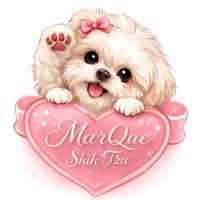 MarQue’s Florida Shih Tzu