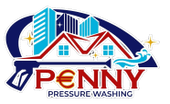 PENNY PRESSURE WASHING