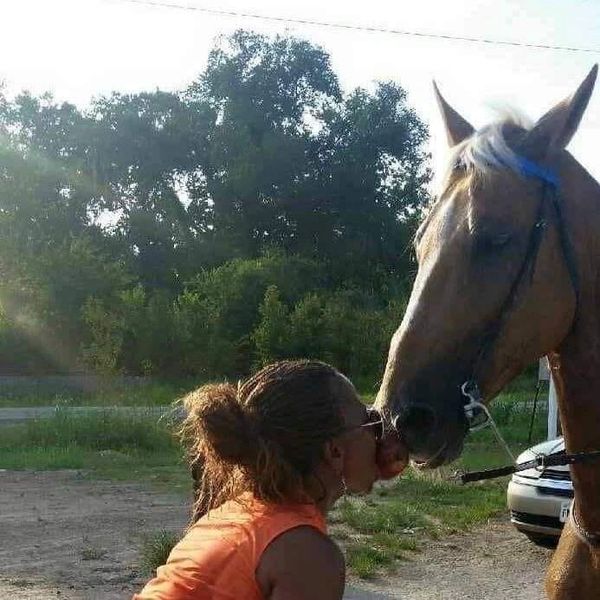 Equestrian, Horse and Human Bonding, Holistic Activities and